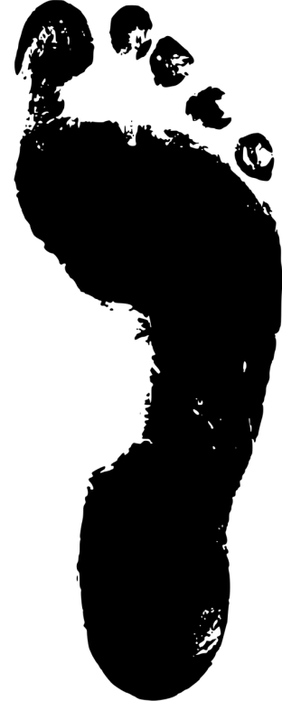 footprint-3609327_1280-3.png